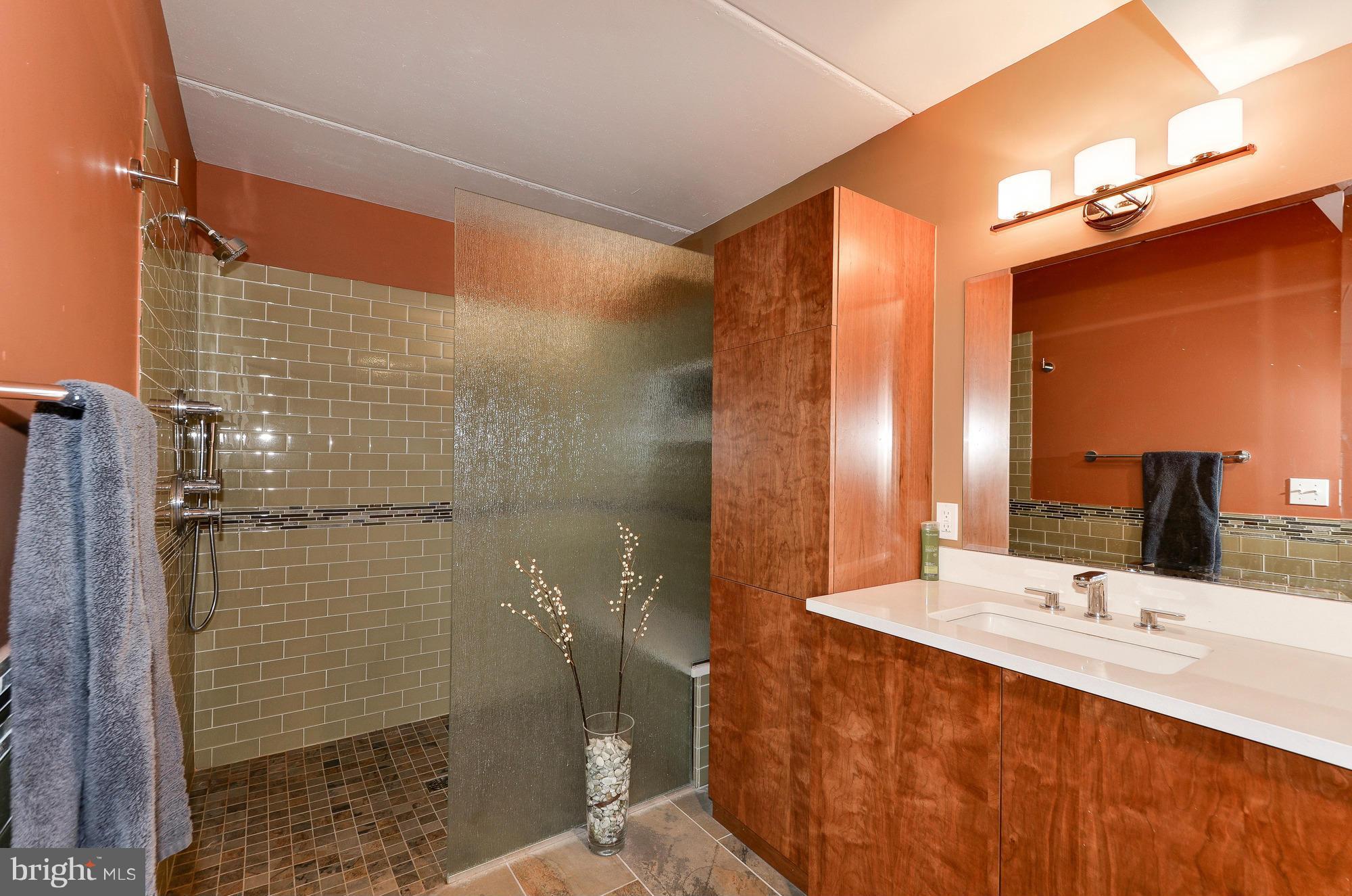 8326 Fenton Street, Unit A Silver Spring, MD 20910 - Photo 28 of 30 Bath (Master) expanded with custom tile
