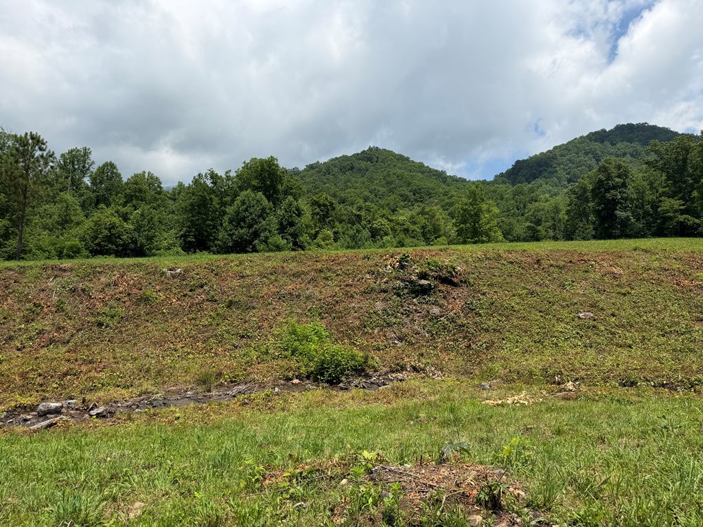 1446 Muskrat Creek Road Hayesville, NC 28904 - Photo 81 of 108