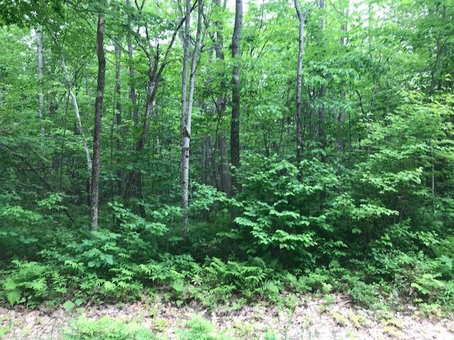 0 West Road Bowdoin, ME 04287 - Photo 9 of 11 land