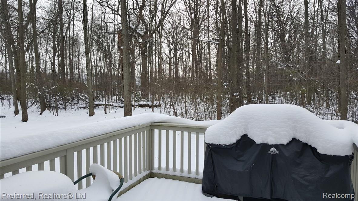 48289 Rockefeller Drive Canton, MI 48188 - Photo 28 of 29 SERENE SETTING