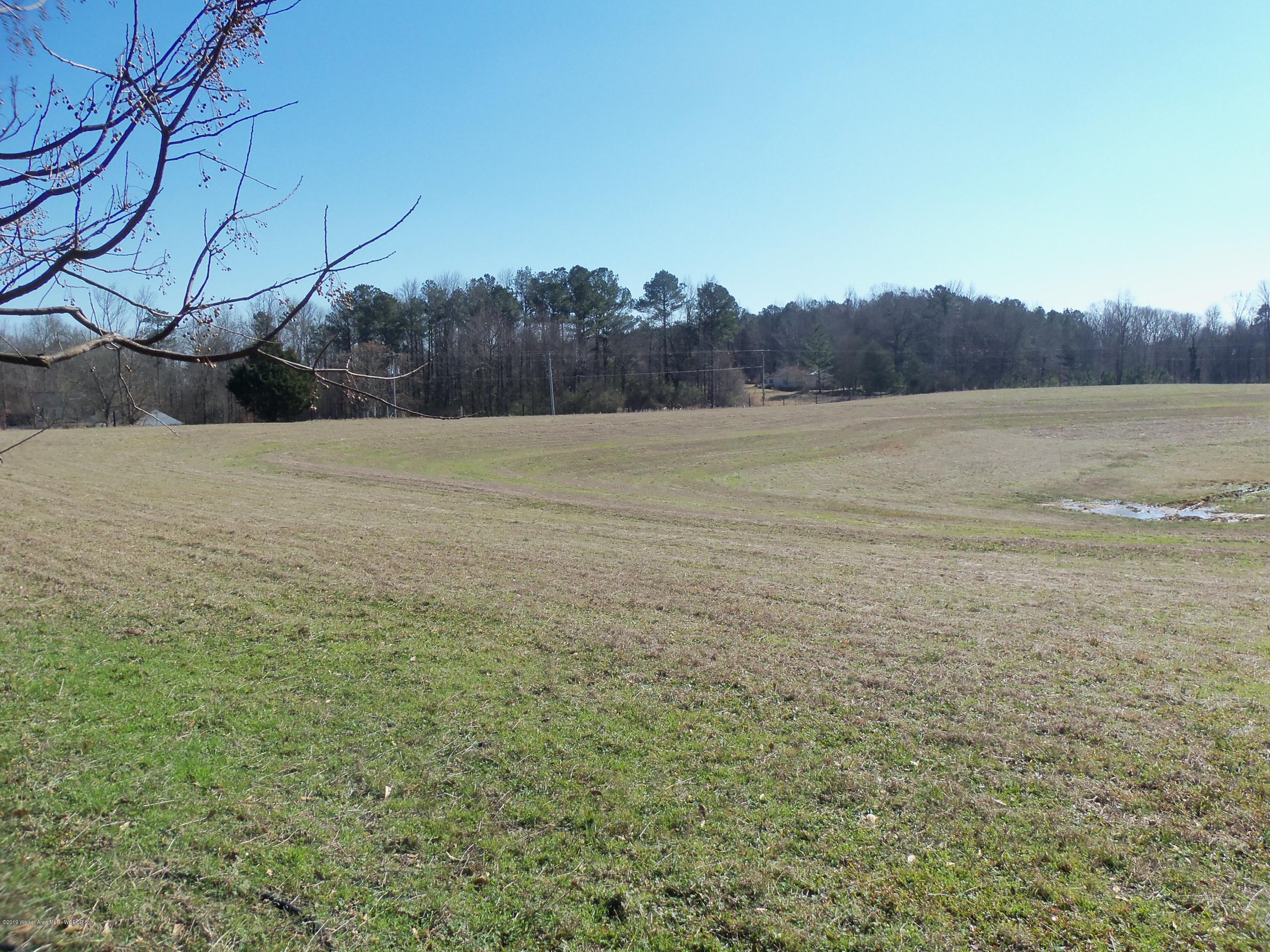 0 Co Road Crane Hill, AL 35053 - Photo 3 of 3 Gallery Image 3