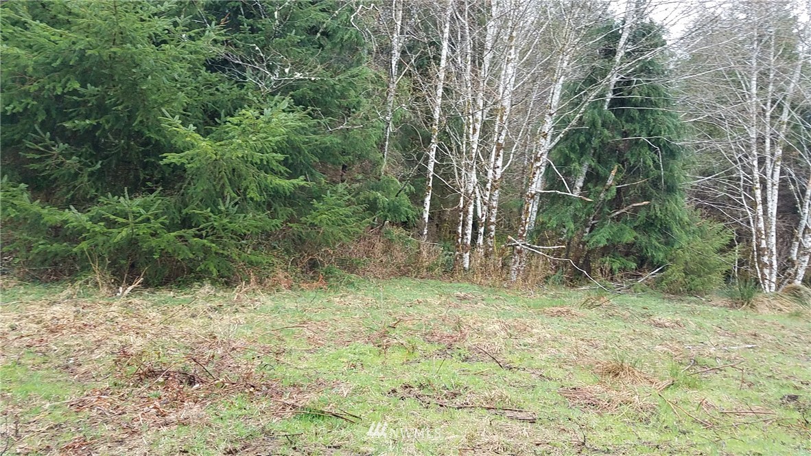 9999 South Valley Road Naselle, WA 98638 - Photo 2 of 9 Gallery Image 2