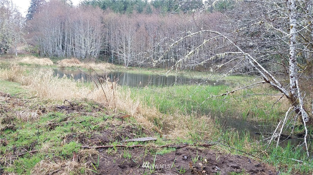 9999 South Valley Road Naselle, WA 98638 - Photo 3 of 9 Gallery Image 3