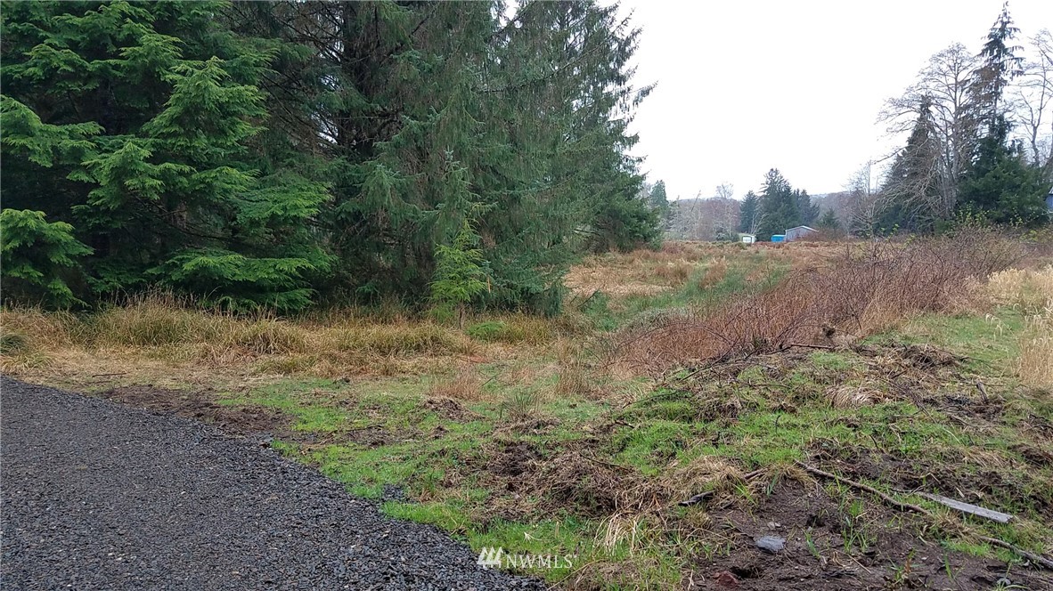 9999 South Valley Road Naselle, WA 98638 - Photo 7 of 9 Gallery Image 7