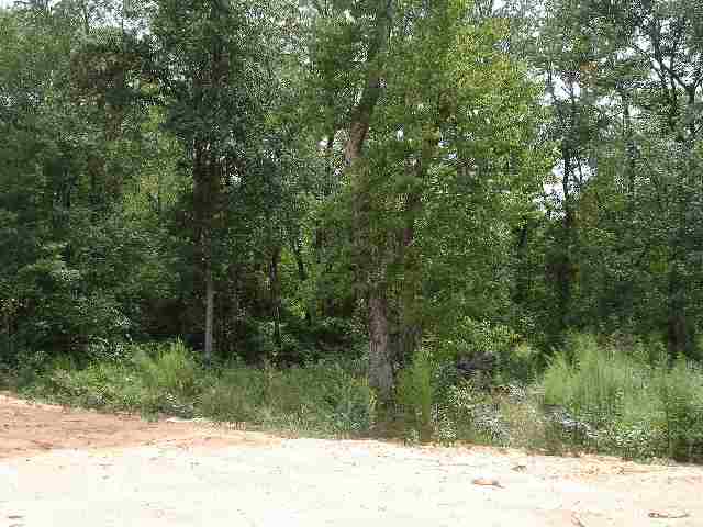 206 Pineland Meadows Road, Unit LOT 12A Belton, SC 29627 - Photo 9 of 9 Gallery Image 9
