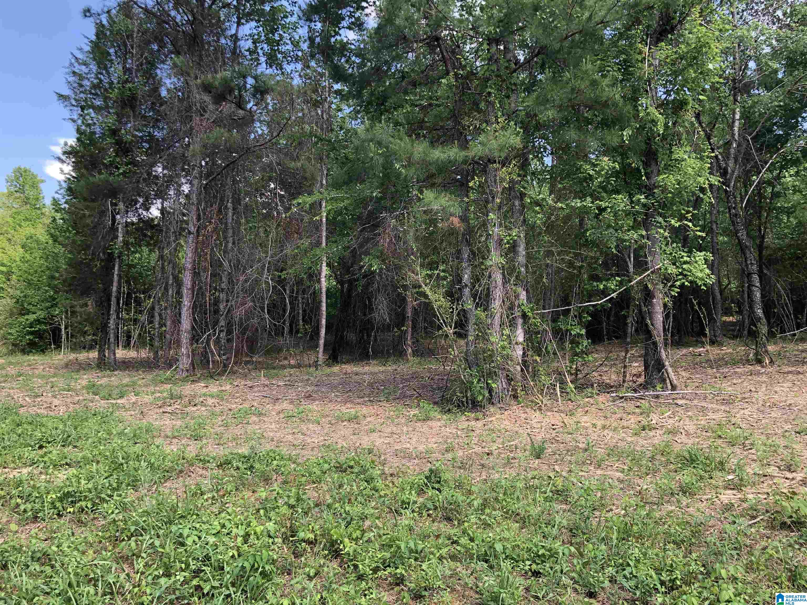 0 Peeks Hill Road, Unit 1 Ohatchee, AL 36271 - Photo 2 of 6