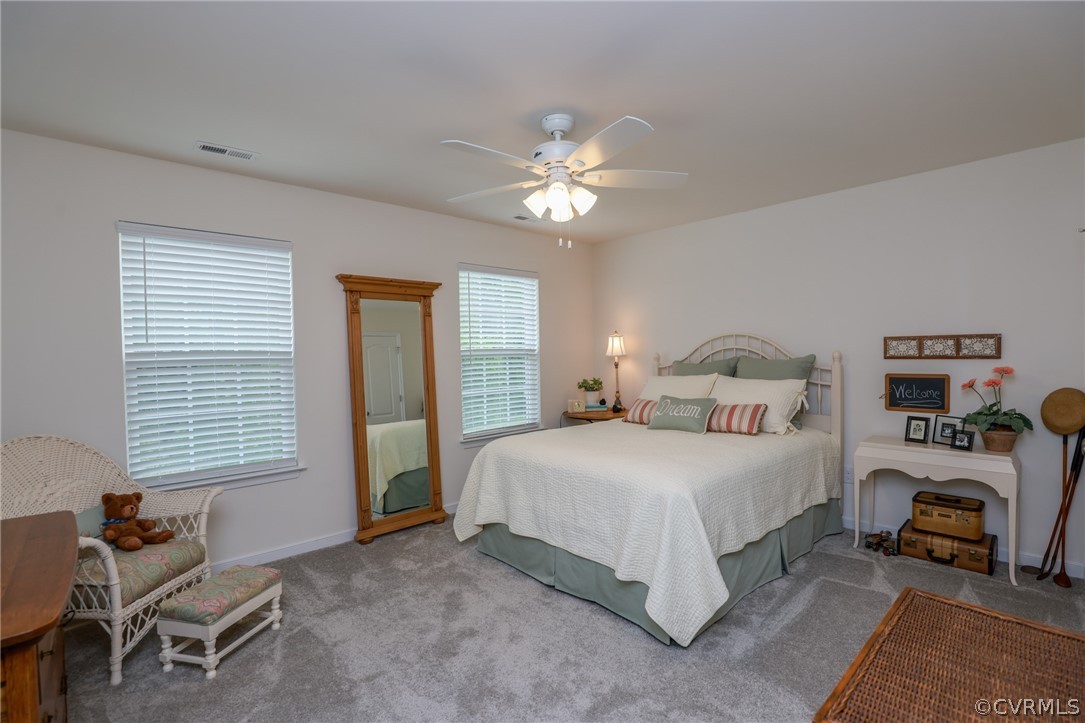 5716 Rohan Court Moseley, VA 23120 - Photo 28 of 50 Gallery Image 28
