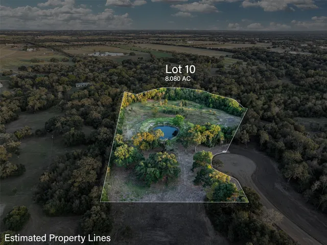 a view of a pathway of a park