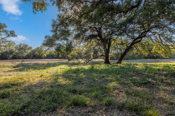 Lane-lot 10 Round Top, TX 78954 - Photo 4 of 10 a view of outdoor space with deck and yard