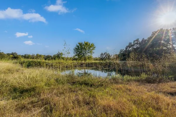 a view of lake with green space