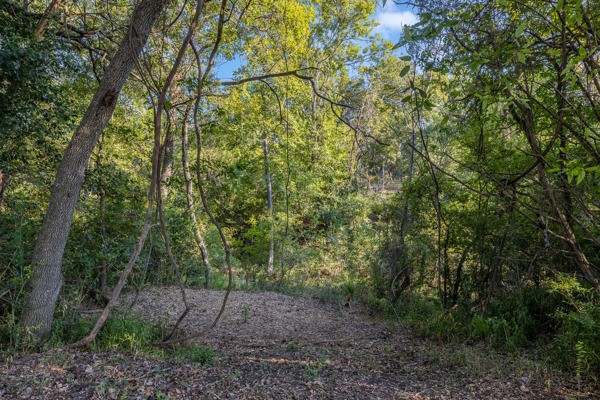 Lane-lot 10 Round Top, TX 78954 - Photo 7 of 10 a view of a forest with trees