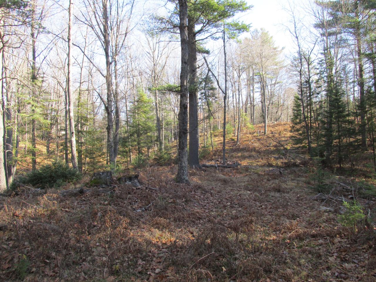 On Wildflower Bay Road Rhinelander, WI 54501 - Photo 9 of 13 Gallery Image 9