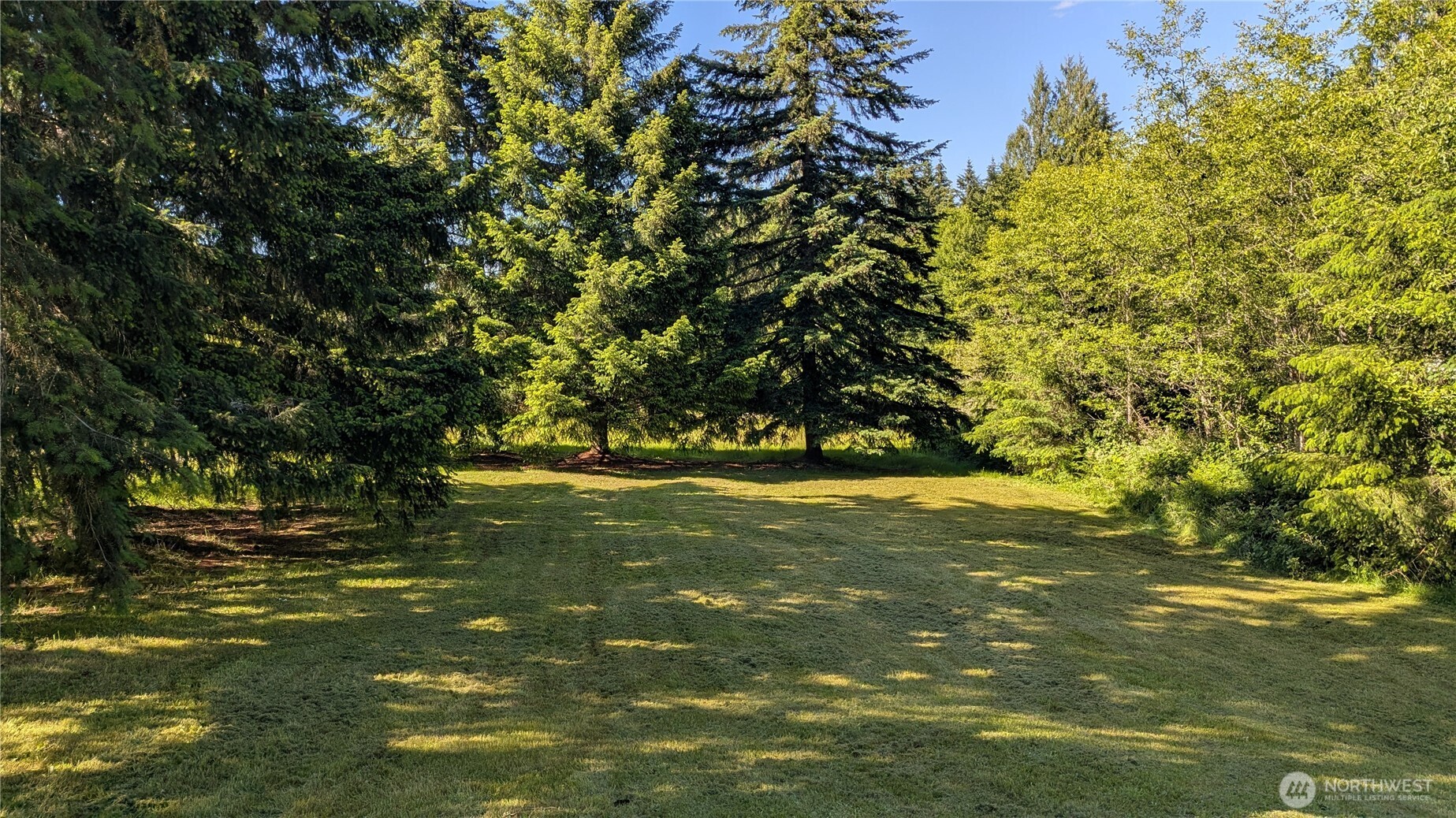 104 Sun Valley Drive Chehalis, WA 98532 - Photo 4 of 20