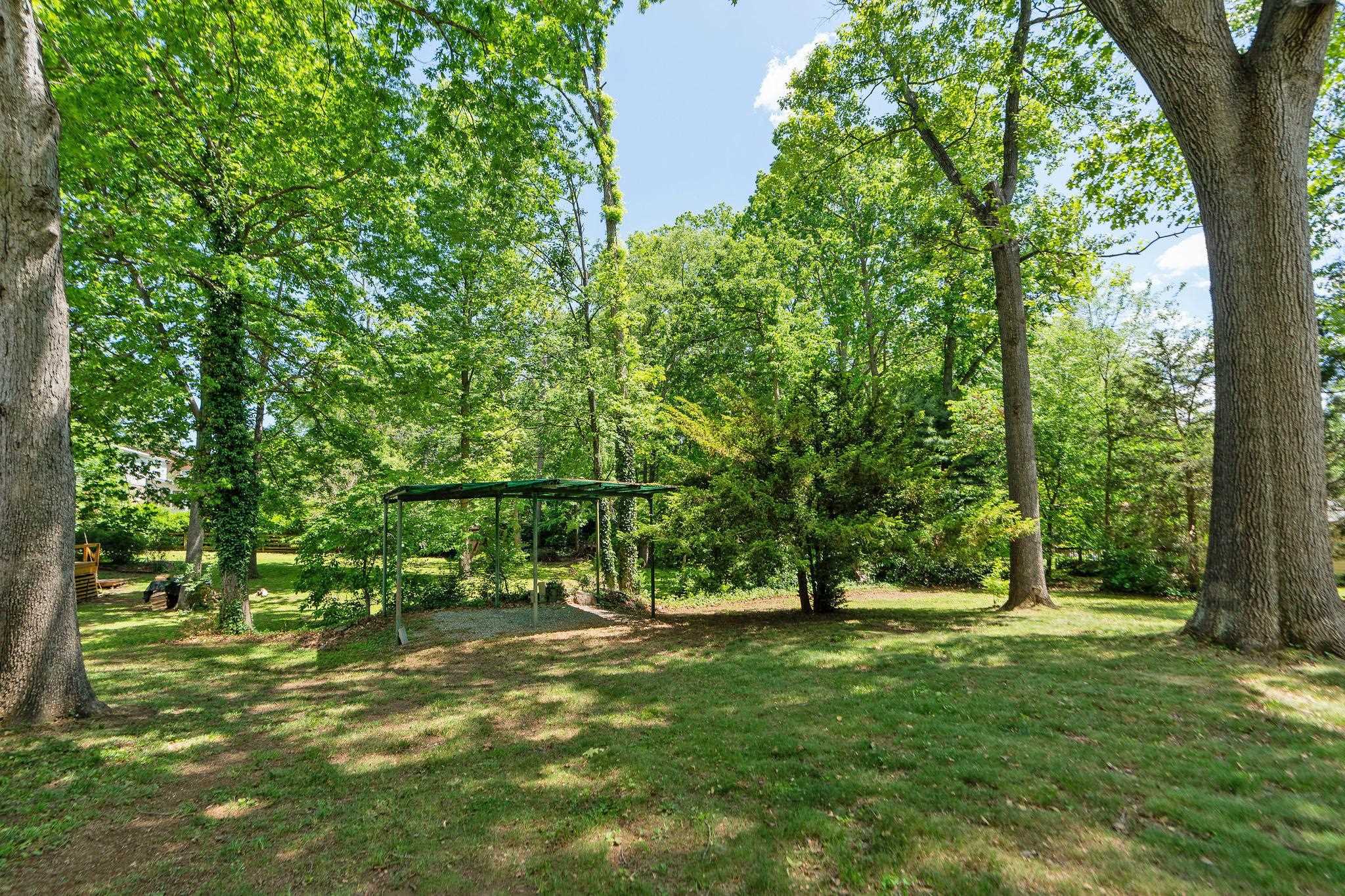 300 South Ellison Lane Waynesboro, VA 22980 - Photo 9 of 53 ...the majority of the property's yard is on the side.