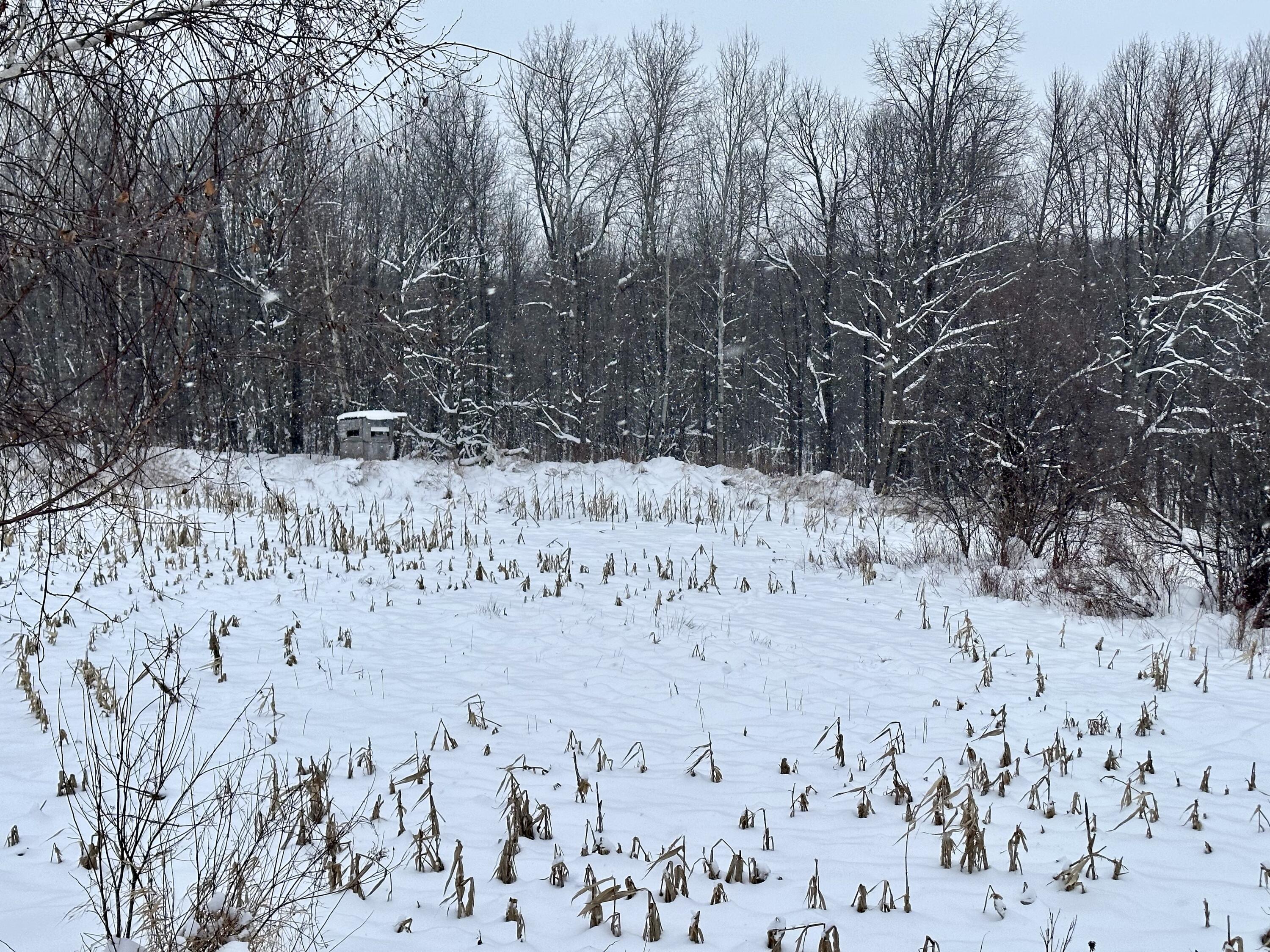 0 Riley Road Malone, NY 12953 - Photo 22 of 50