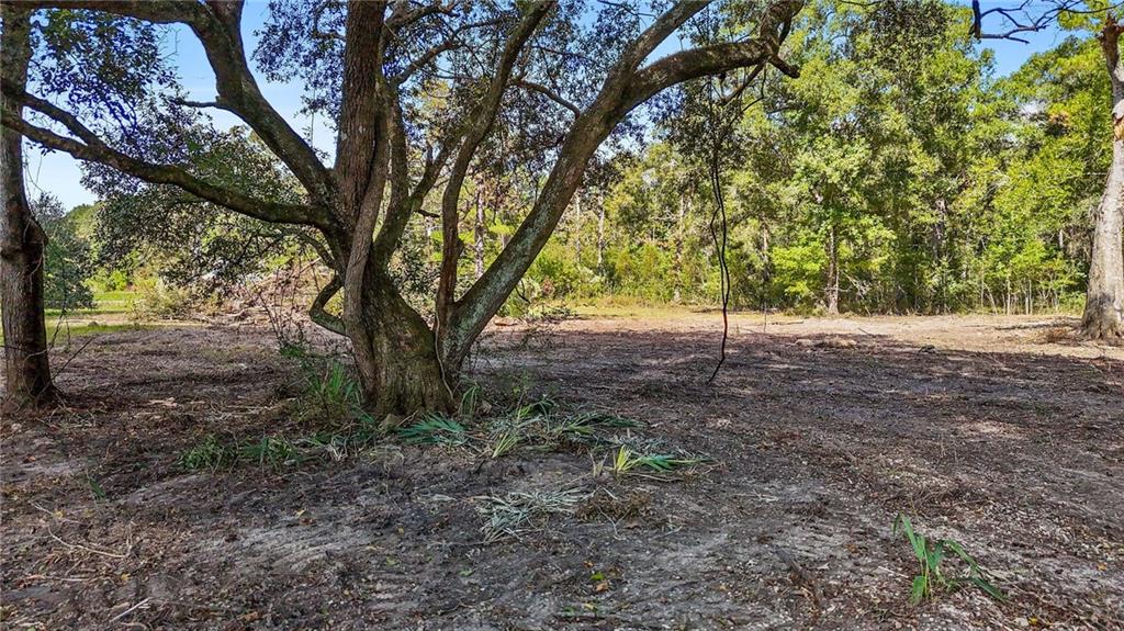 B-1 Bennett Road Holden, LA 70744 - Photo 6 of 15