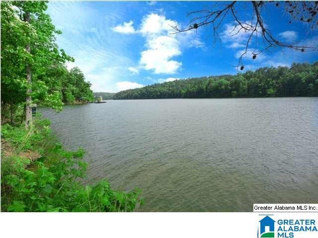 117 Lake Ridge Lane Wedowee, AL 36278 - Photo 39 of 40