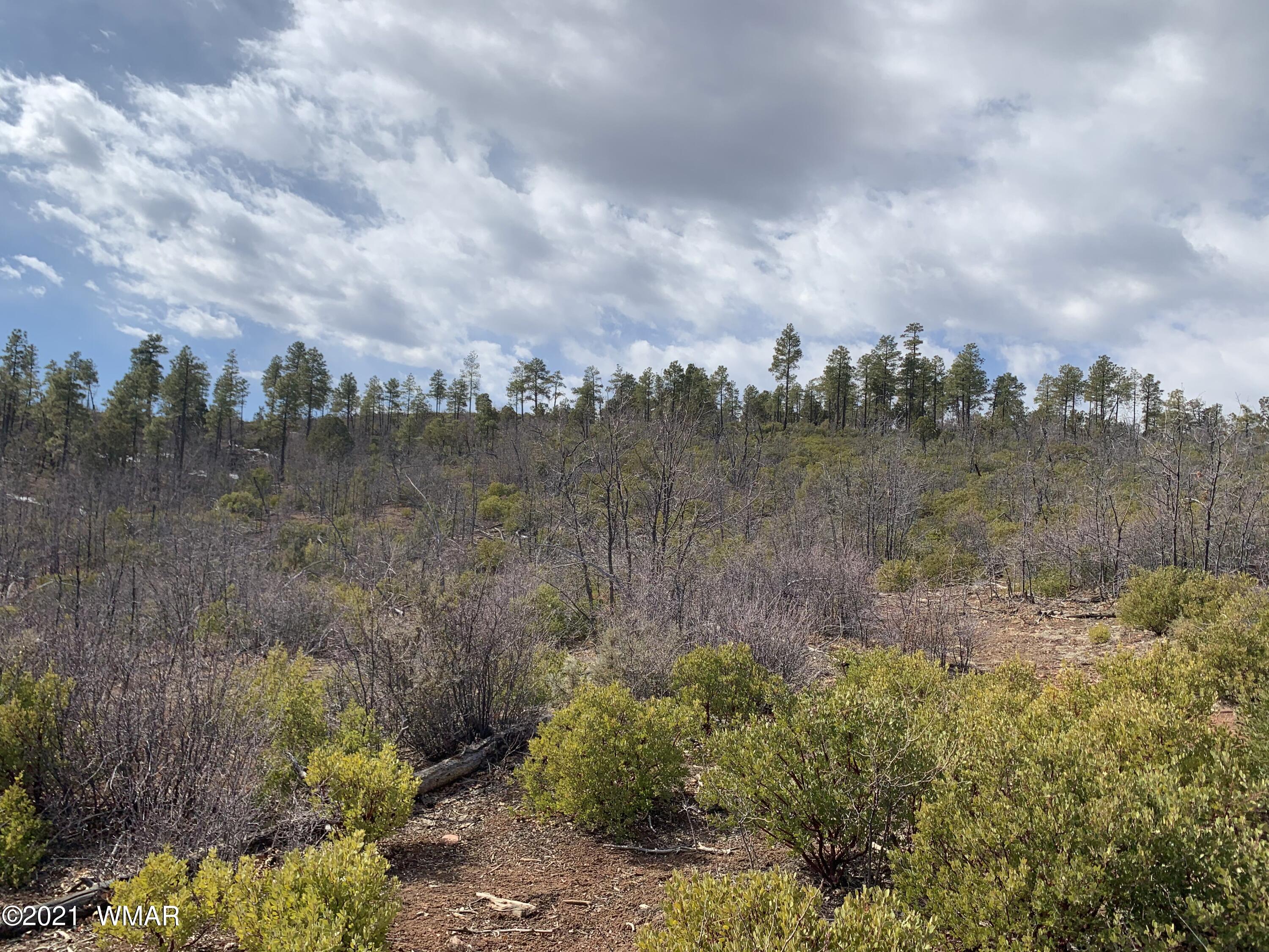 2 Fieldy Show Low, AZ 85901 - Photo 4 of 12