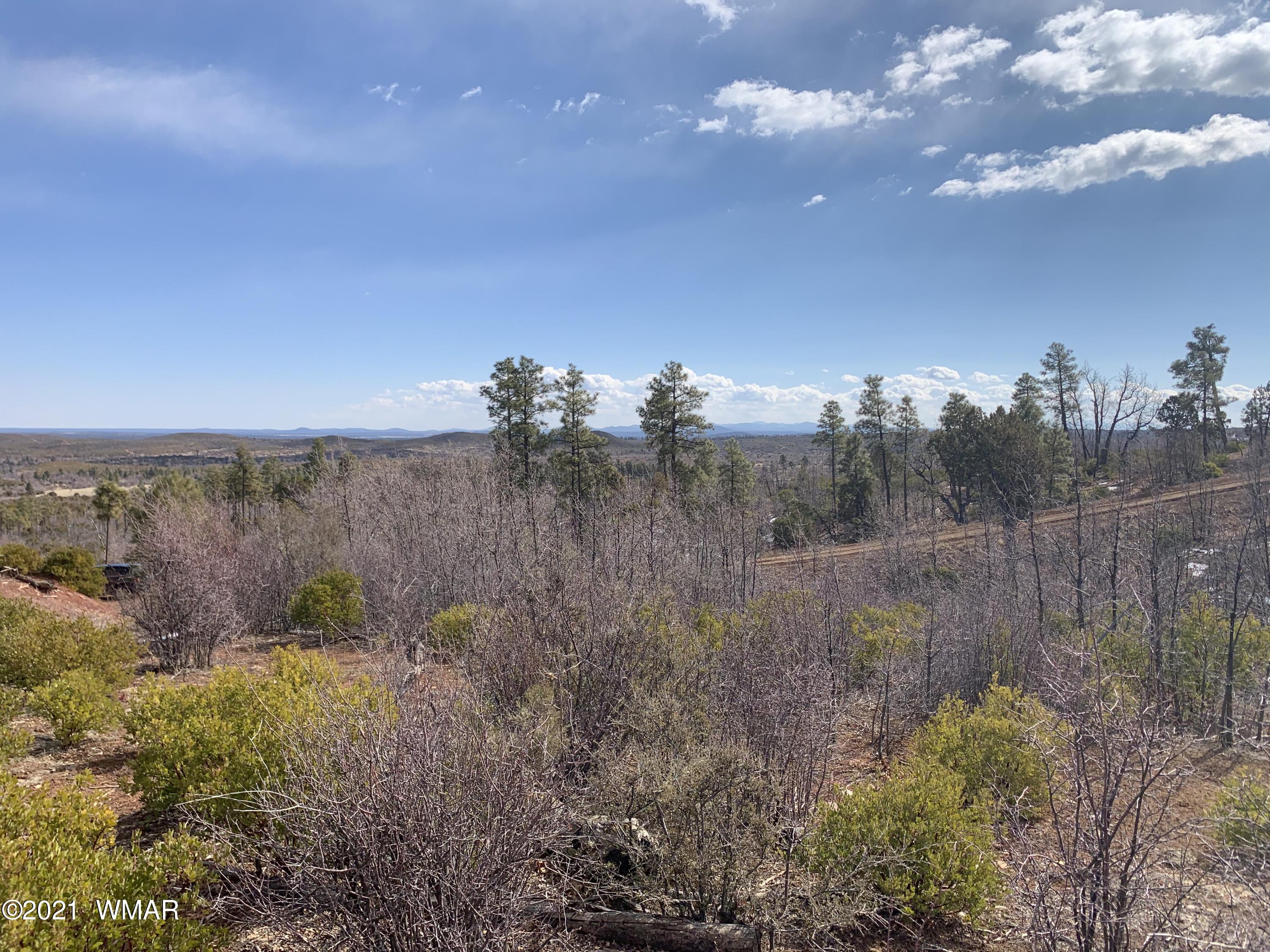 2 Fieldy Show Low, AZ 85901 - Photo 5 of 12