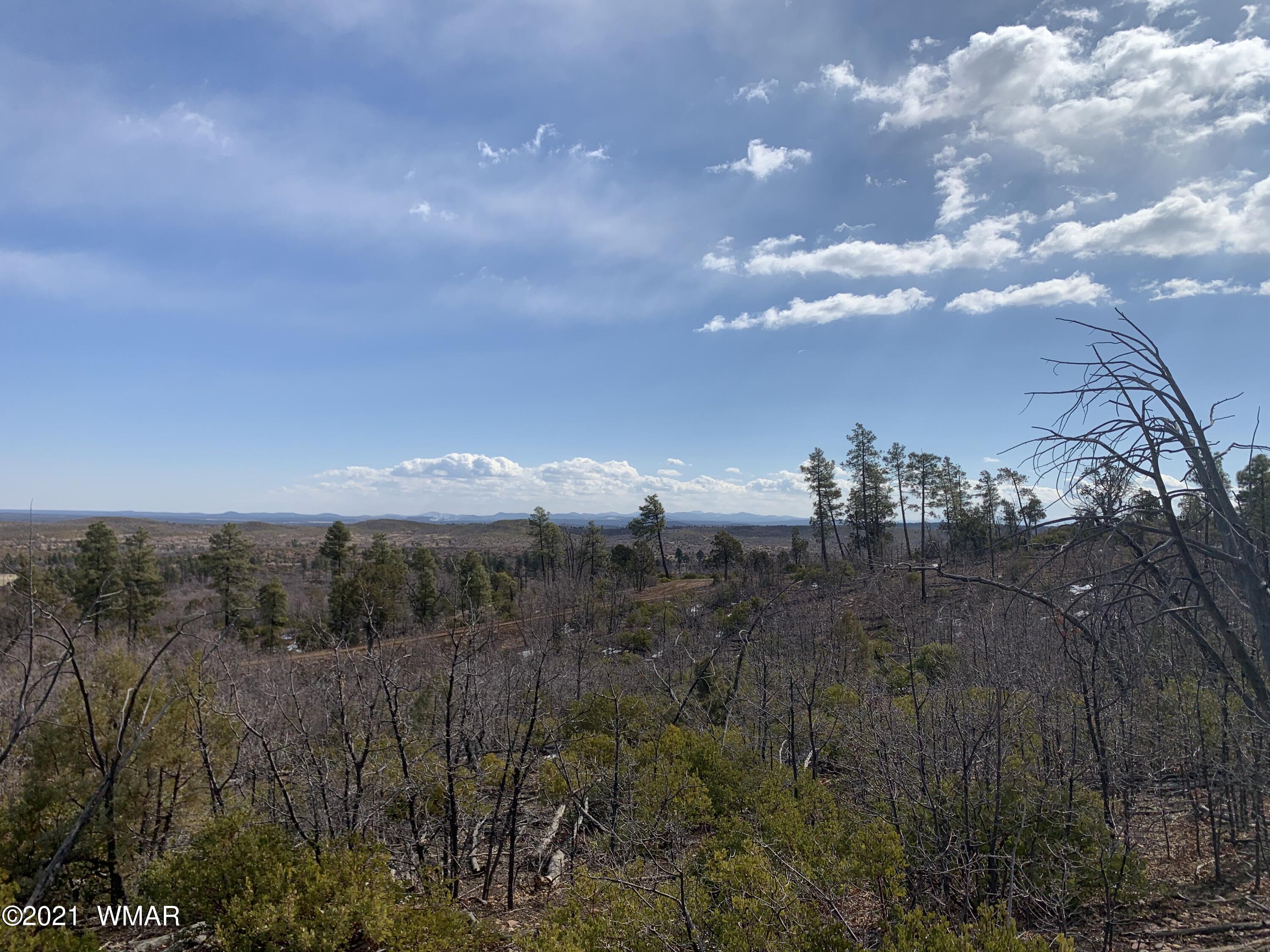 2 Fieldy Show Low, AZ 85901 - Photo 8 of 12