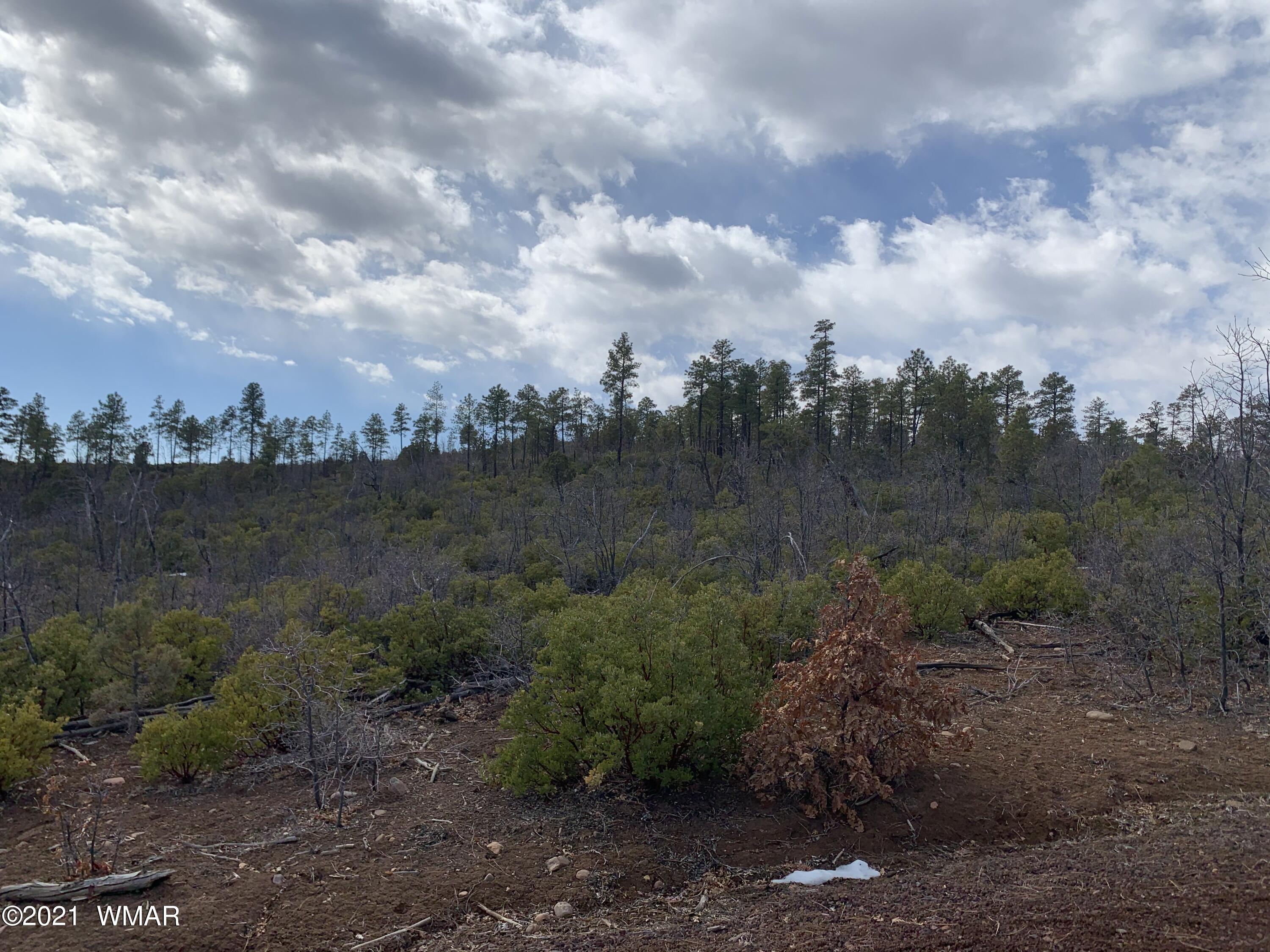 2 Fieldy Show Low, AZ 85901 - Photo 9 of 12