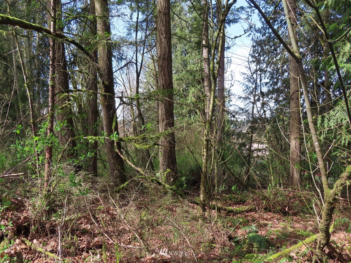-xxx Templin Road South Roy, WA 98580 - Photo 1 of 25 Gallery Image 1