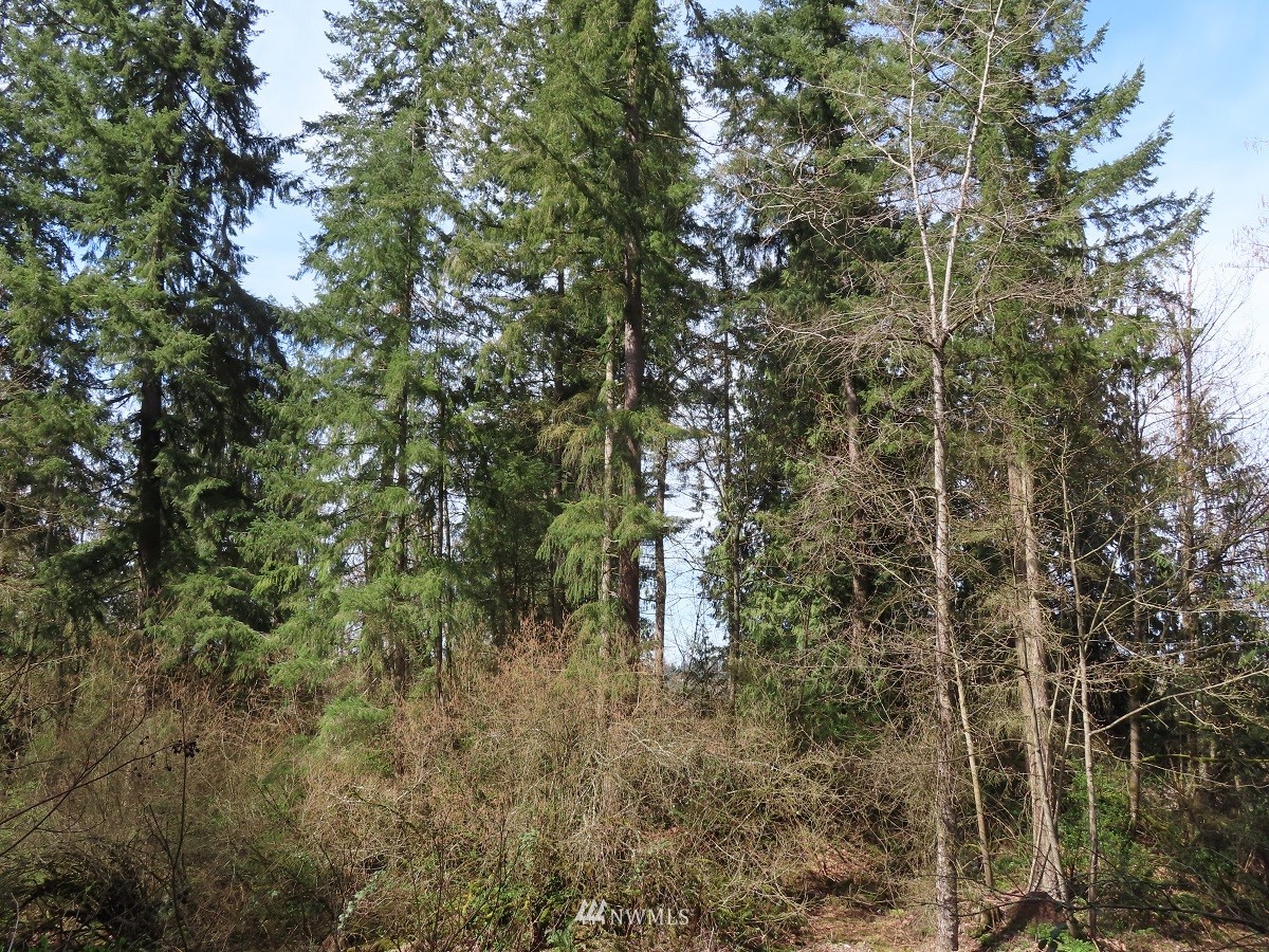 -xxx Templin Road South Roy, WA 98580 - Photo 11 of 25 Gallery Image 11