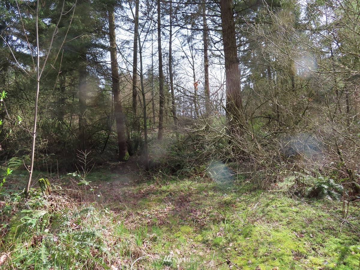 -xxx Templin Road South Roy, WA 98580 - Photo 12 of 25 Gallery Image 12