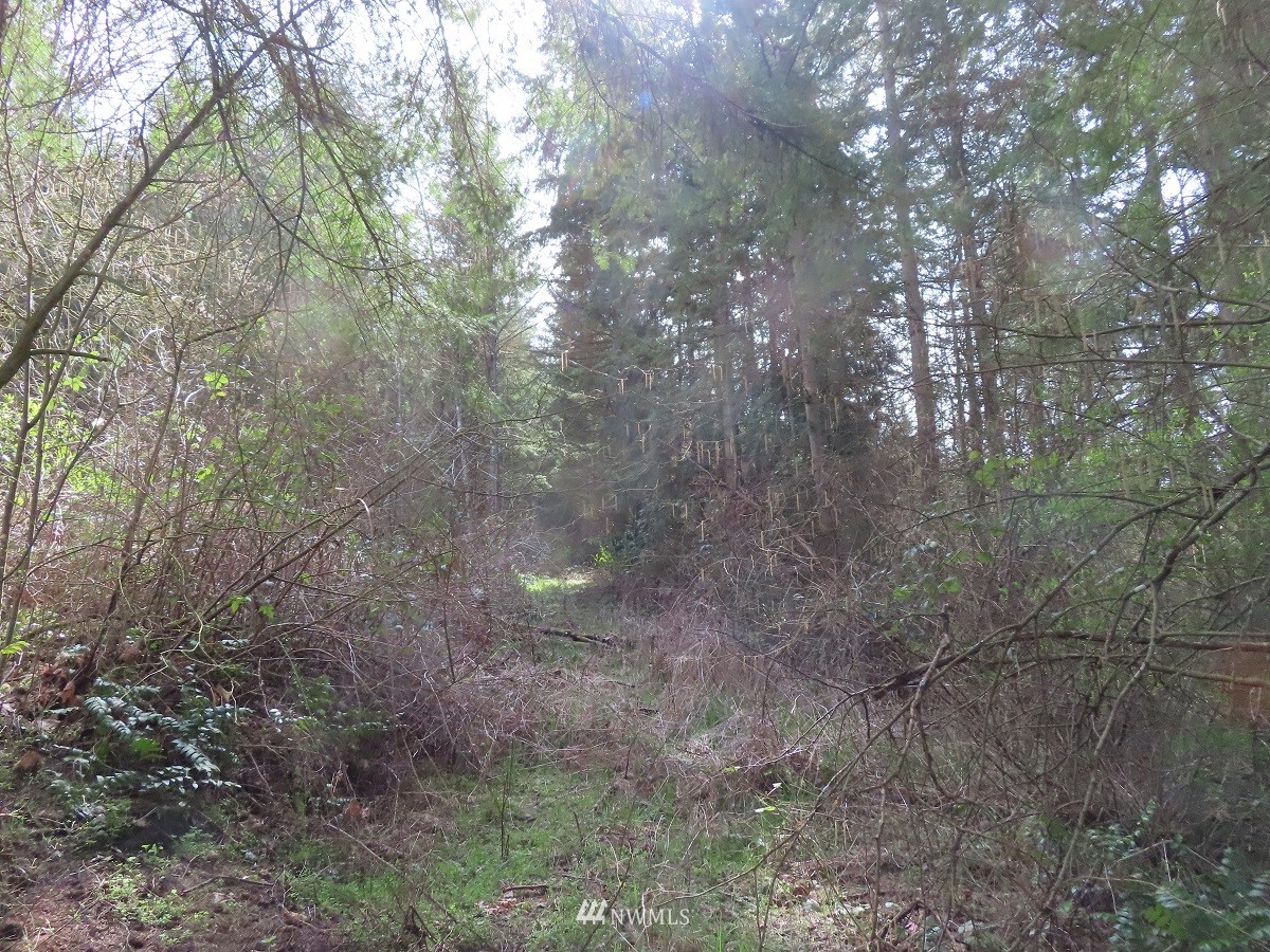 -xxx Templin Road South Roy, WA 98580 - Photo 13 of 25 Gallery Image 13
