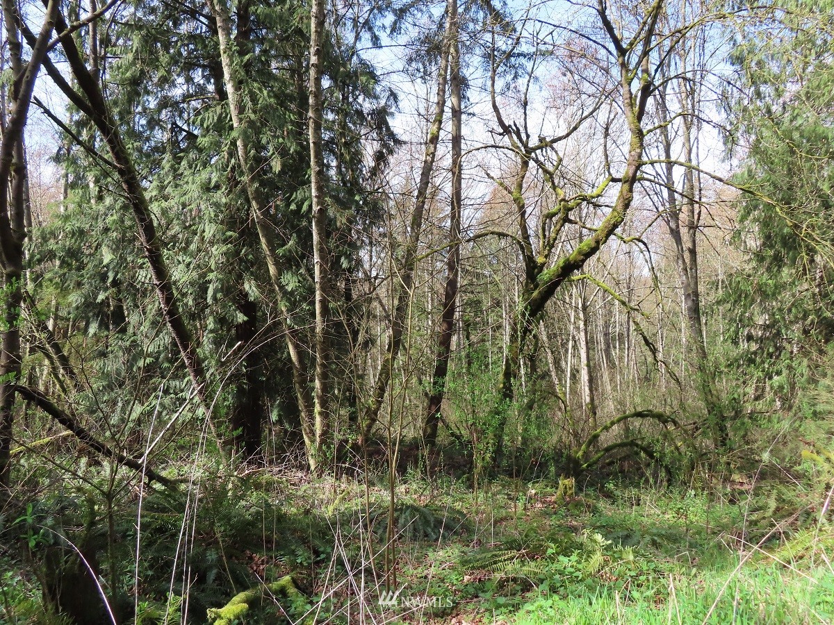 -xxx Templin Road South Roy, WA 98580 - Photo 15 of 25 Gallery Image 15