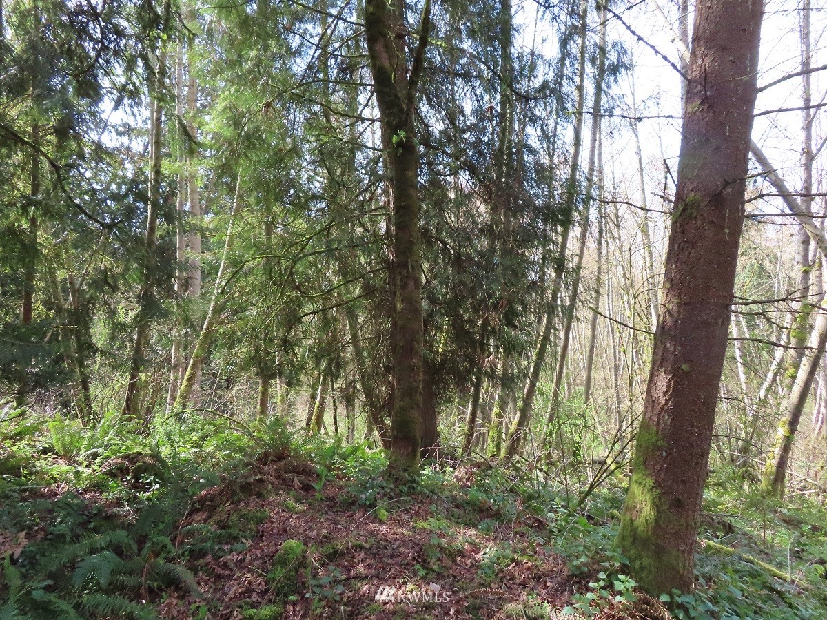 -xxx Templin Road South Roy, WA 98580 - Photo 16 of 25 Gallery Image 16