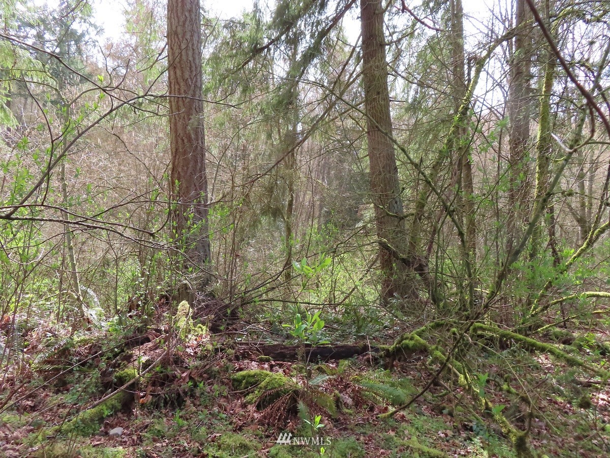 -xxx Templin Road South Roy, WA 98580 - Photo 18 of 25 Gallery Image 18
