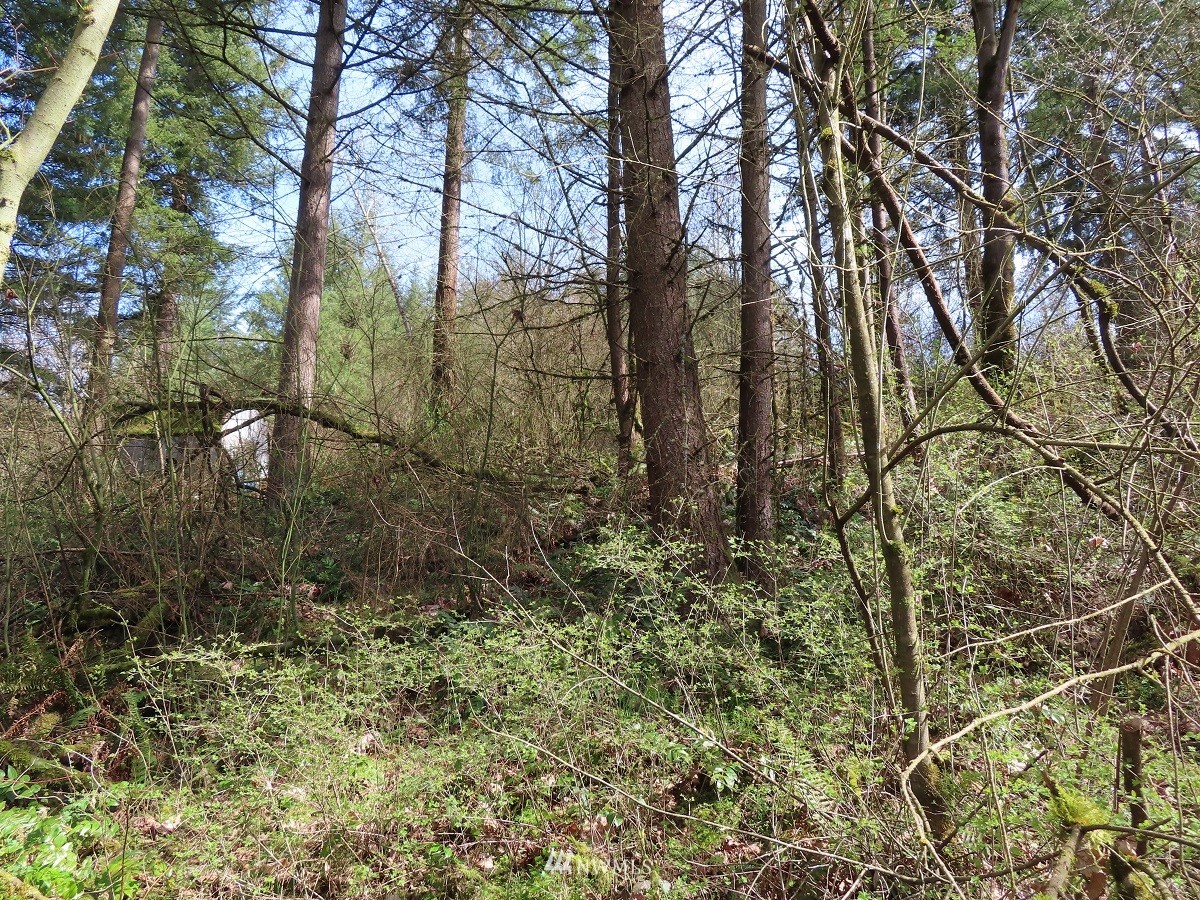 -xxx Templin Road South Roy, WA 98580 - Photo 19 of 25 Gallery Image 19