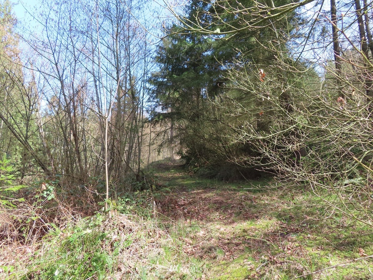 -xxx Templin Road South Roy, WA 98580 - Photo 21 of 25 Gallery Image 21