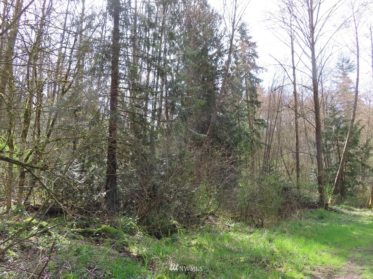 -xxx Templin Road South Roy, WA 98580 - Photo 22 of 25 Gallery Image 22