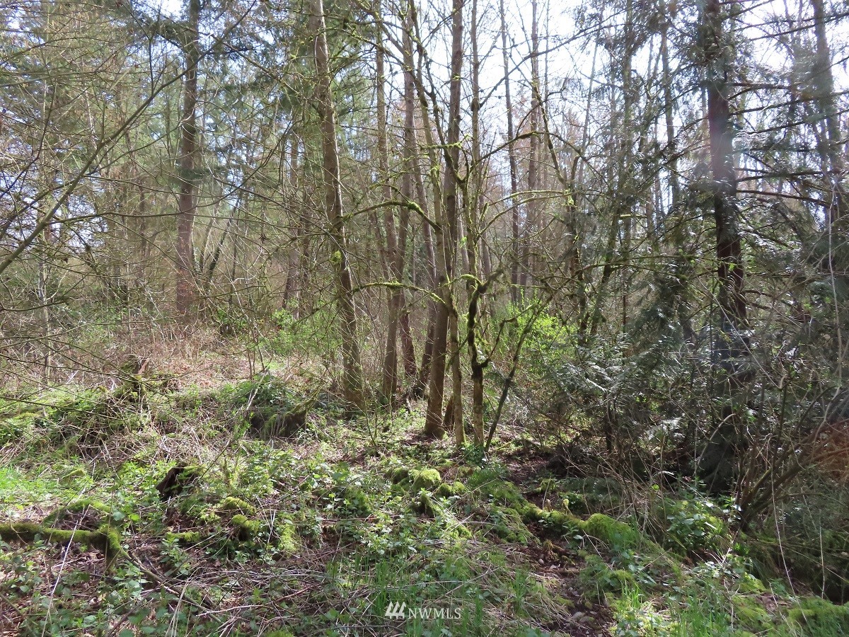 -xxx Templin Road South Roy, WA 98580 - Photo 23 of 25 Gallery Image 23