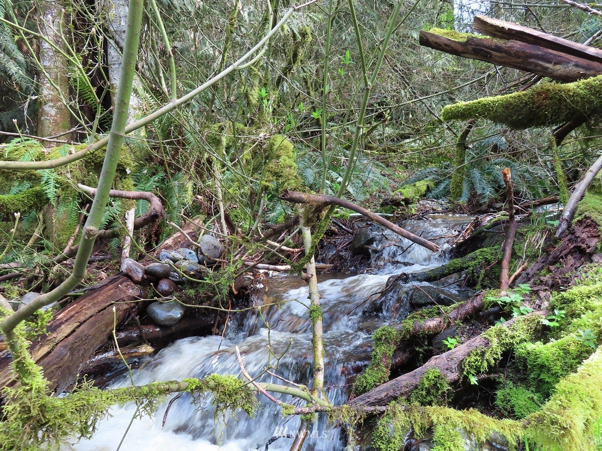 -xxx Templin Road South Roy, WA 98580 - Photo 25 of 25 Gallery Image 25