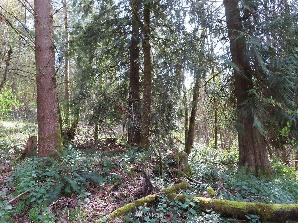 -xxx Templin Road South Roy, WA 98580 - Photo 3 of 25 Gallery Image 3