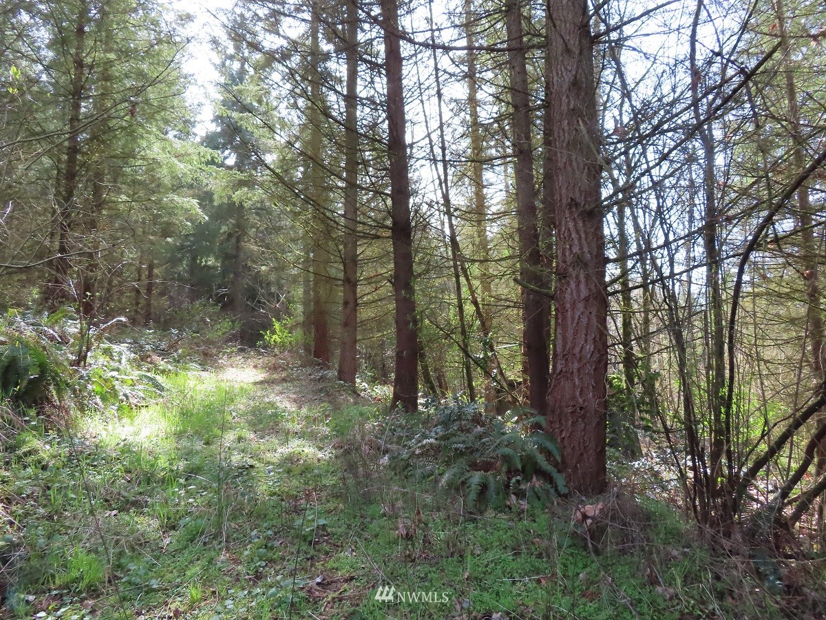 -xxx Templin Road South Roy, WA 98580 - Photo 7 of 25 Gallery Image 7
