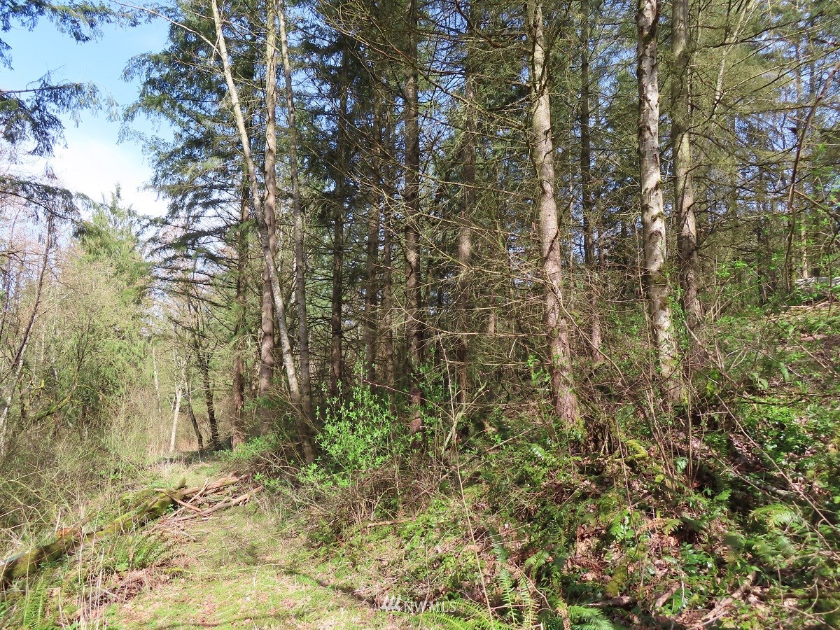 -xxx Templin Road South Roy, WA 98580 - Photo 10 of 25 Gallery Image 10