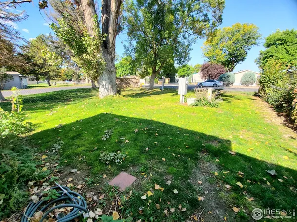 a view of yard with swimming pool and green space