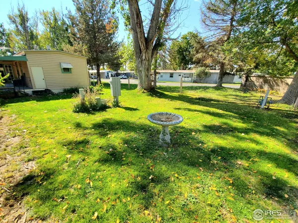 a view of a backyard with swimming pool