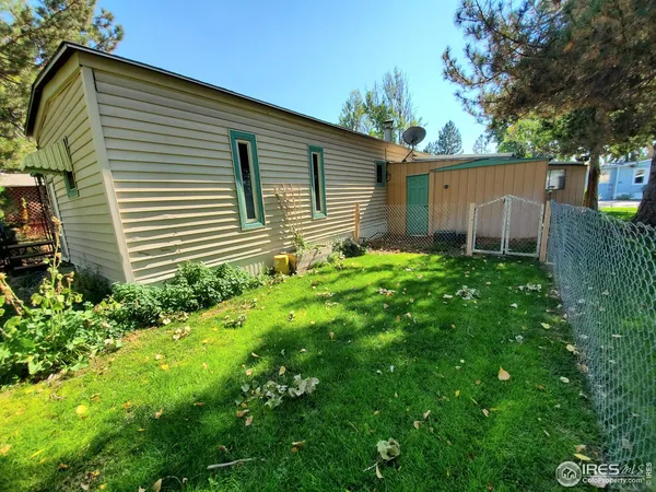 a backyard of a house with plants and large tree