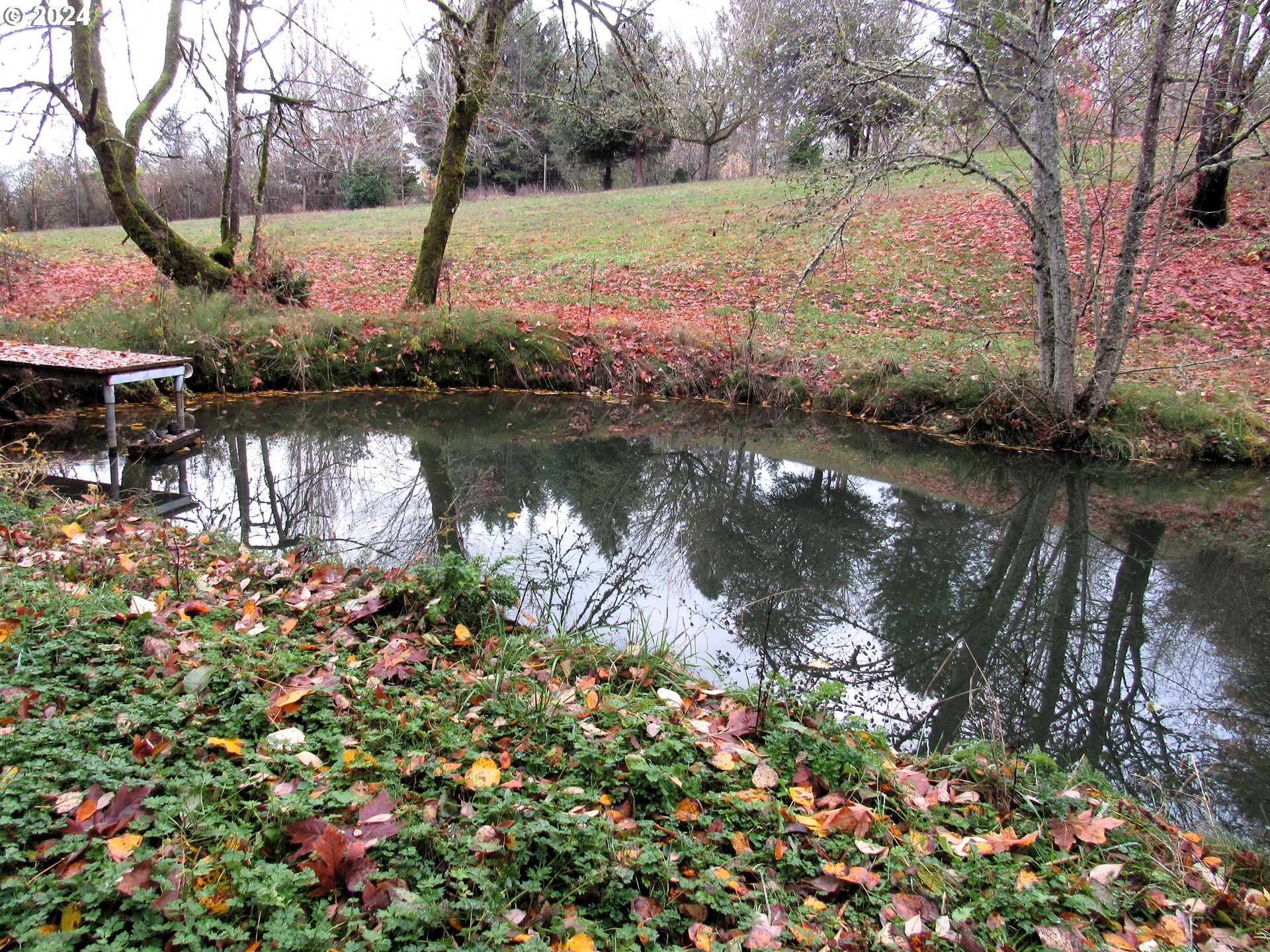 10400 Northwest Laidlaw Road Portland, OR 97229 - Photo 14 of 48 Pond