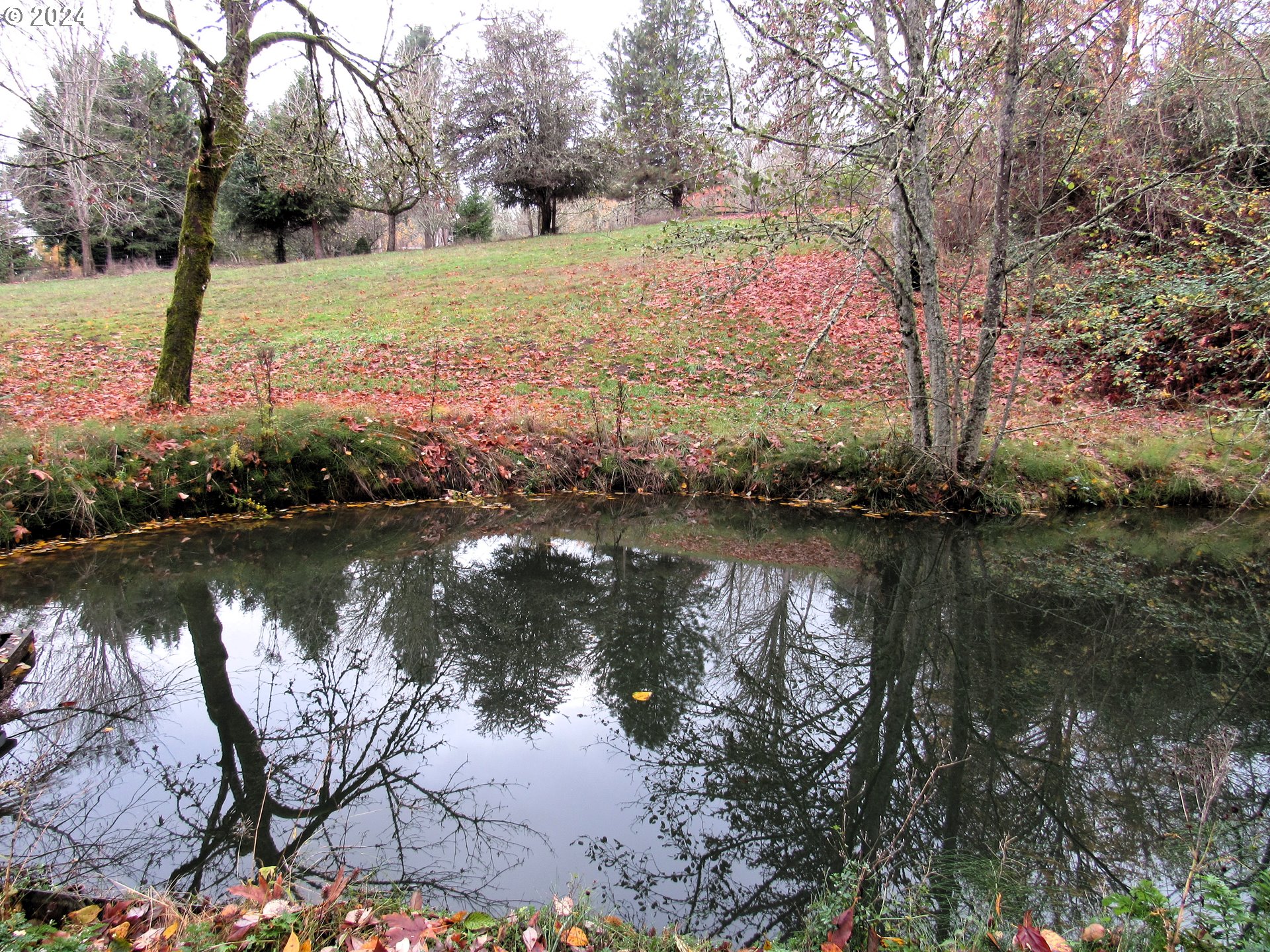 10400 Northwest Laidlaw Road Portland, OR 97229 - Photo 15 of 48 Pond