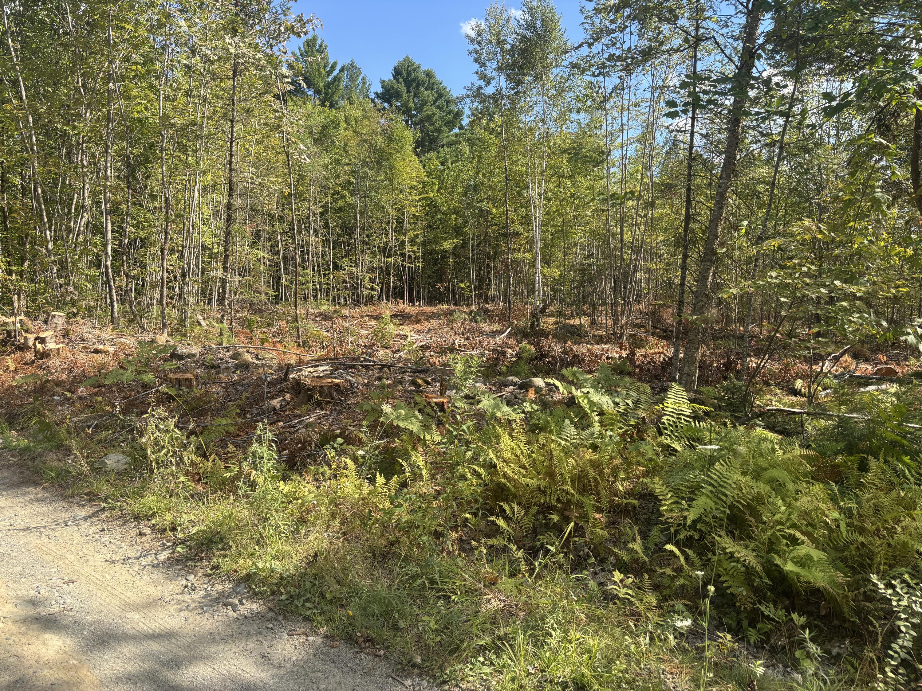 M10-18-7 Brown Road Mercer, ME 04957 - Photo 4 of 17 IMG_4925