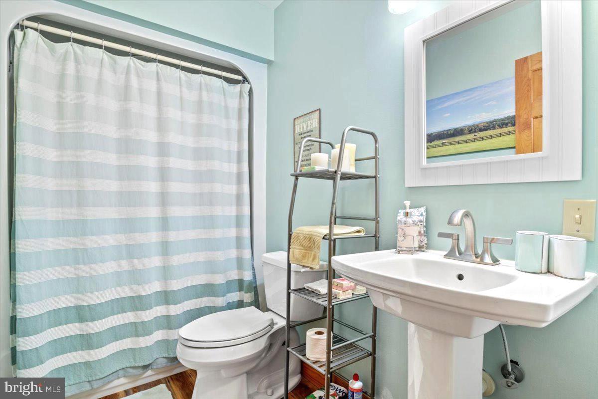 65 Chestnut Rail Lane Madison, VA 22727 - Photo 17 of 50 a bathroom with a sink and a toilet
