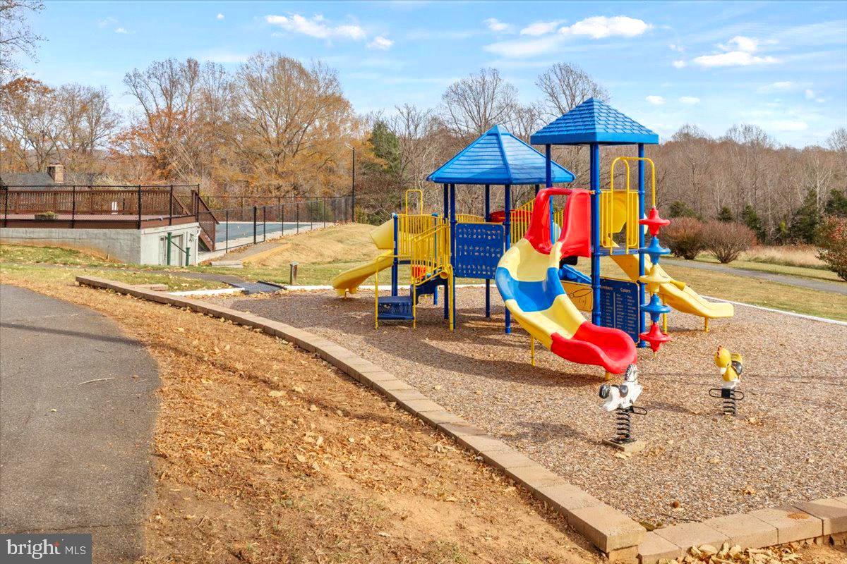 65 Chestnut Rail Lane Madison, VA 22727 - Photo 46 of 50 swimming pool view with sitting space