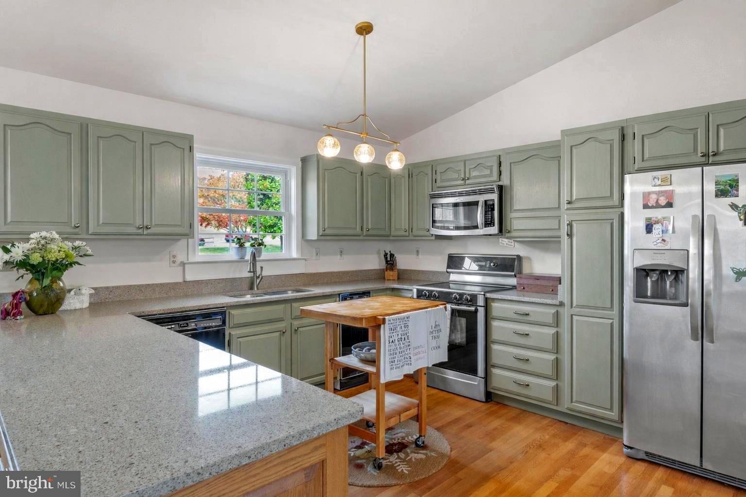 65 Chestnut Rail Lane Madison, VA 22727 - Photo 5 of 50 a kitchen with stainless steel appliances granite countertop a stove refrigerator and a microwave