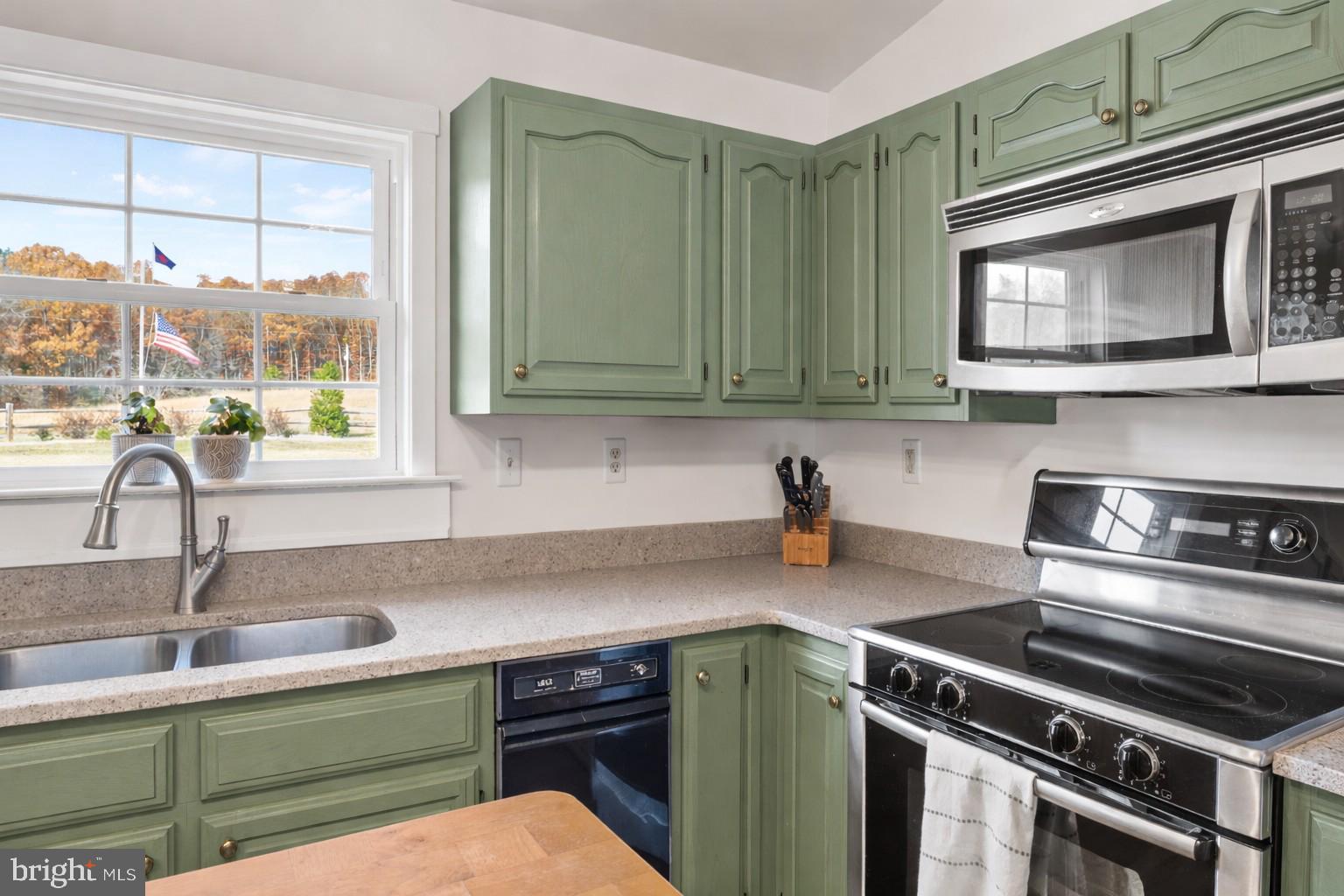 65 Chestnut Rail Lane Madison, VA 22727 - Photo 7 of 50 a kitchen with a stove and a sink
